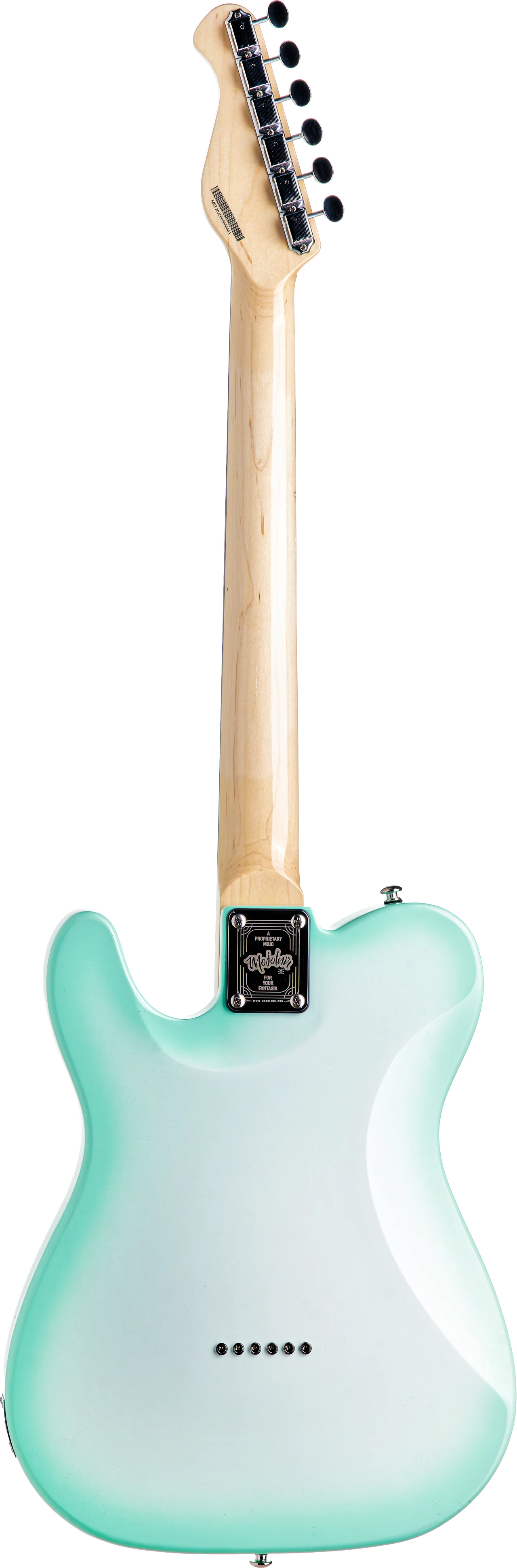 M40T(SG)の背面